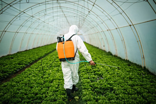 Pest Control Cost in Havana, IL