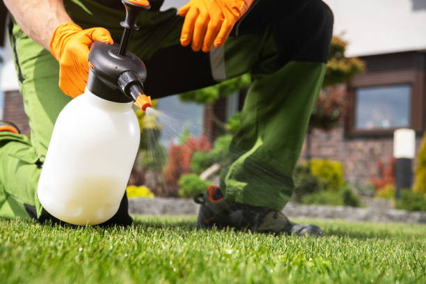 Best Flea Control Services  in Havana, IL