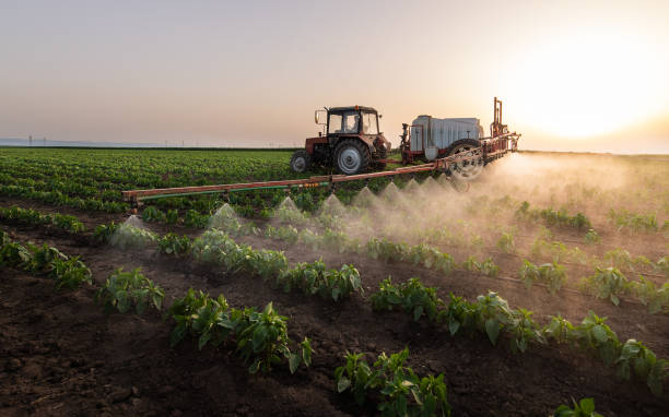 Pest Control Cost in Havana, IL