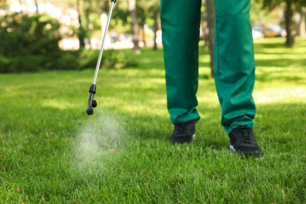 Best Bed Bug Extermination  in Havana, IL