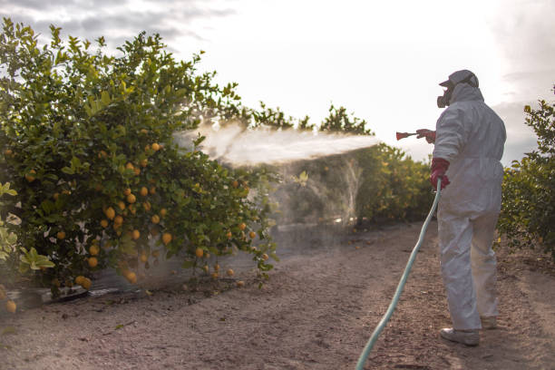 Best Exterminator Services  in Havana, IL