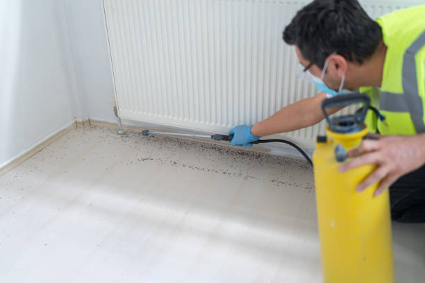 Best Pest Removal Services  in Havana, IL