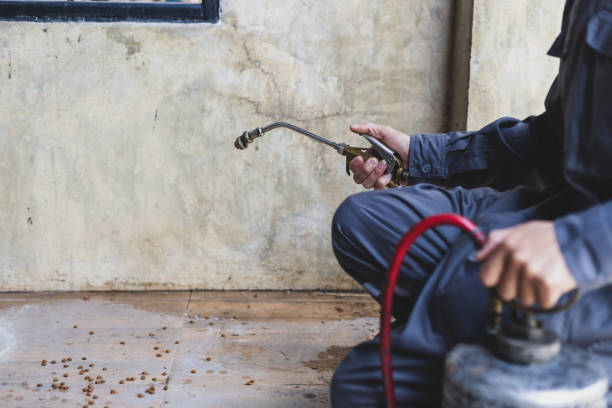 Best Mosquito Control Services  in Havana, IL