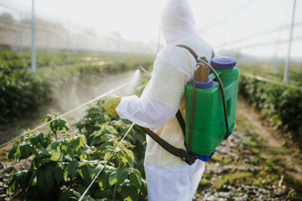 Best Termite Control Services  in Havana, IL